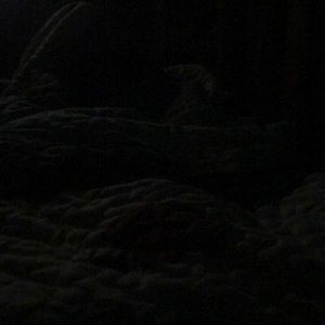 Meet your Posher, Ty